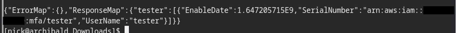 Showing the output